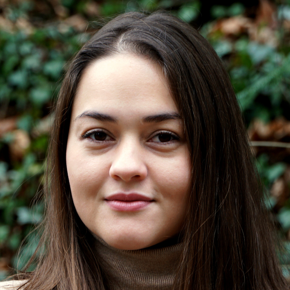 Viviani Mantovani
