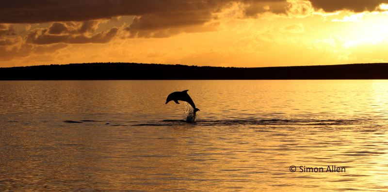 Sunset leap