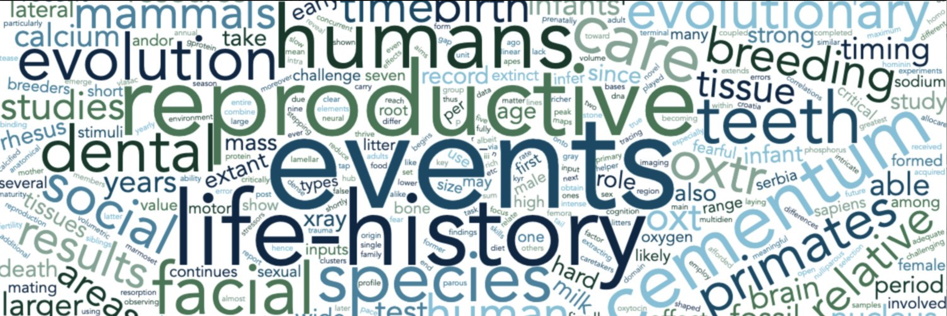 wordcloud